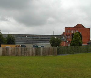 Craigavon Lord Lurgan Park site: Site view